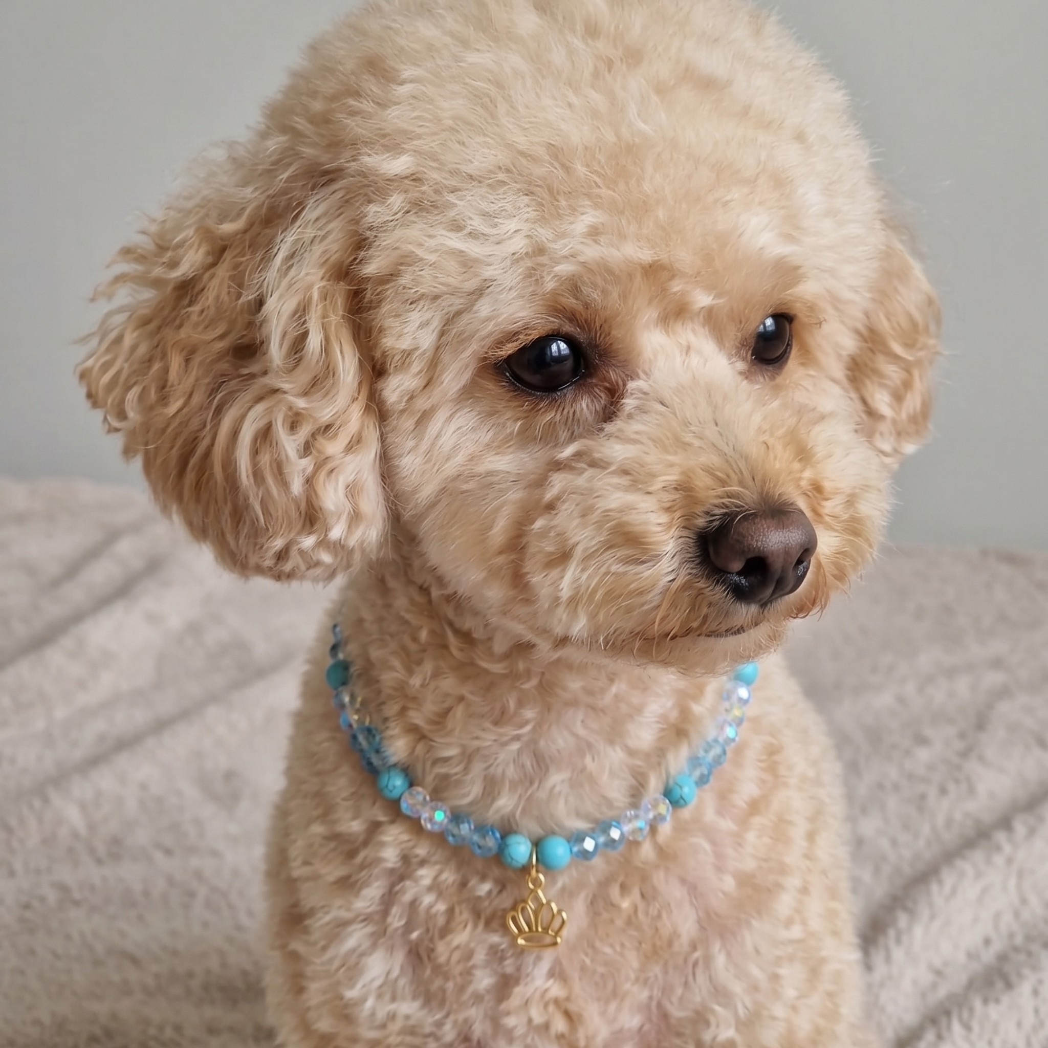 Collana per Cani "Royal Azure" con Pietre Naturali e Ciondolo Corona